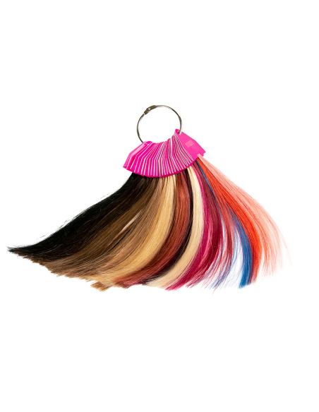 Cartella colori Elite Extension