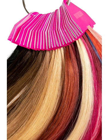Cartella colori Elite Extension