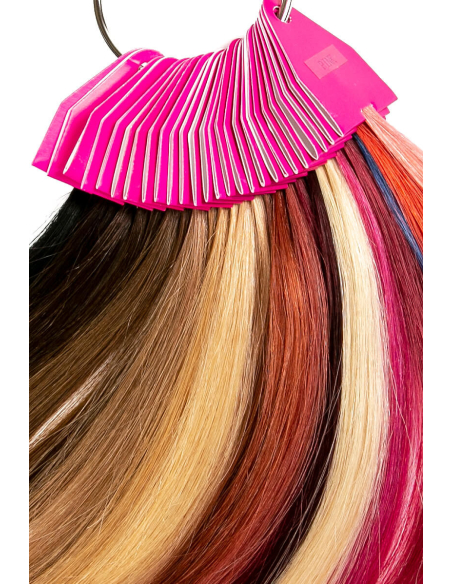 Cartella colori Elite Extension