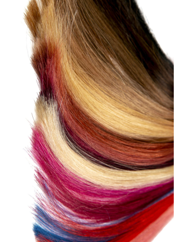 Cartella colori Elite Extension